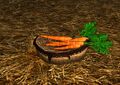 Homestead Basket of Carrots
