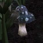 Black-heart Mushroom
