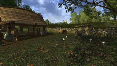 Chickens & their coop at Bamfurlong