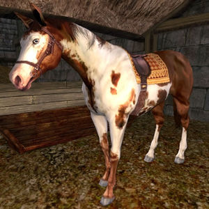 Image of Radagast's Horse