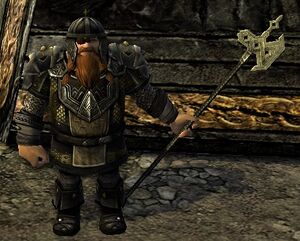 Image of Longbeard Guard