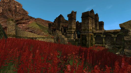 Crimson flowers among the ruins