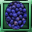 Bunch of Blackberries-icon.png