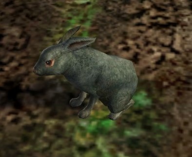 File:Rabbit.jpg