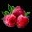 File:Raspberry field-icon.png