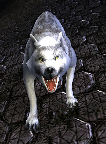 File:Mountain-wolf Hunter.jpg