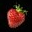 Strawberry field-icon.png