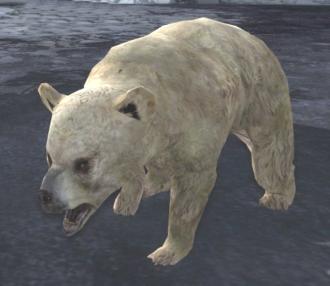 File:Snowbear Cub.jpg