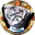 File:Extraordinary Rune of Wisdom-icon.png