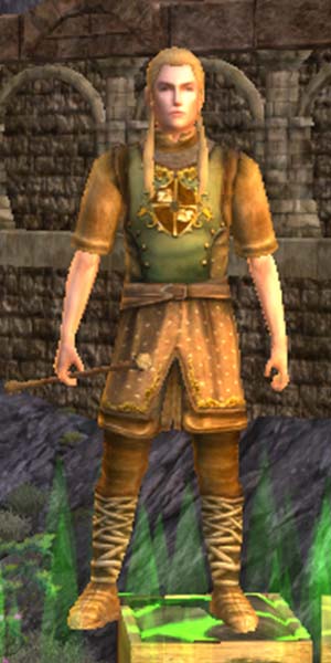 File:Leather Guard Outfit Elf-Sire.jpg