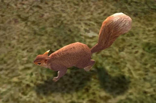 File:Red Squirrel.jpg