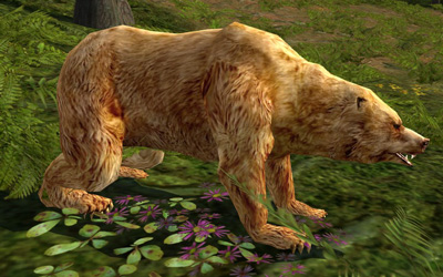 File:Young Wood-bear.jpg