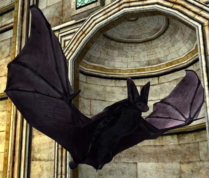 File:Black Bat.jpg
