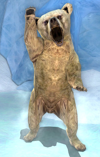 File:Snowbear-wight Cub.jpg