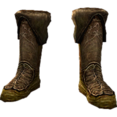 File:Golden Boots of the Benefactor-icon.png