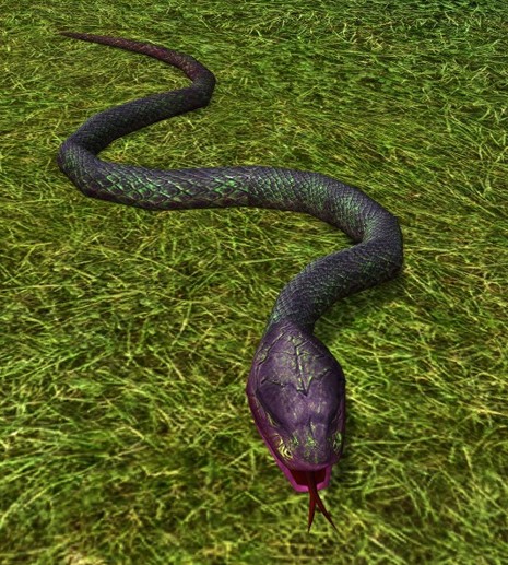 File:Ill Omened Snake.jpg