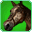 Steed of the Captain(skill)-icon.png