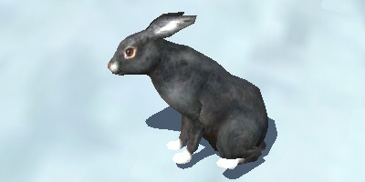File:Silver Hare.jpg