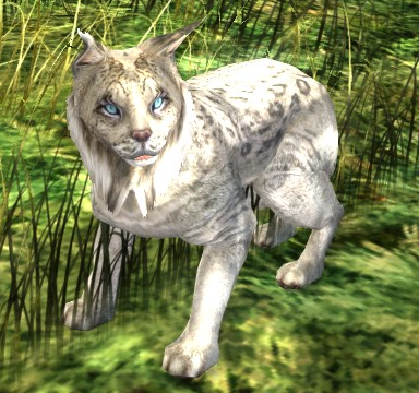 File:Tundra Lynx appearance.jpg