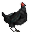 File:Black-foot Carrying Chicken (skill)-icon.png