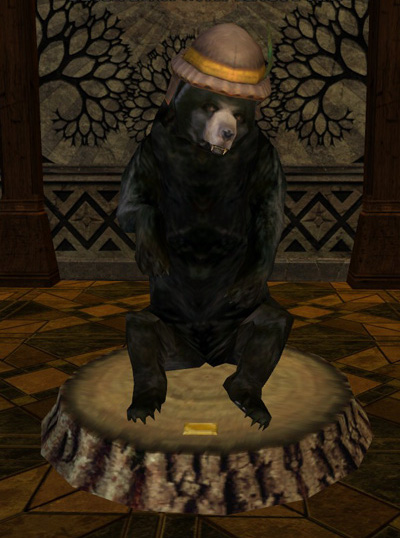 File:Black Bear with League Hat.jpg