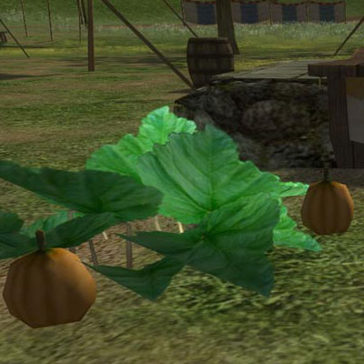 File:Festival Pumpkin Patch.jpg