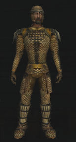 File:Heavy Iron Outfit.jpg
