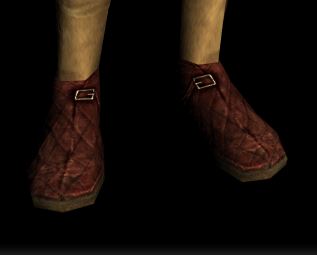 File:Weave-padded Shoes of the Ithilien Seeker front.jpg