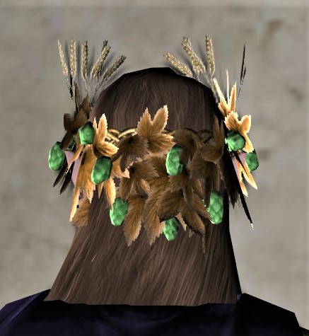 File:Harvest-brew Circlet-back.jpg