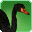 Black Swan-icon.png