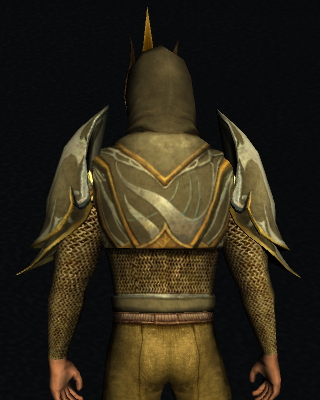 File:Stoneheart's Armour (back).jpg