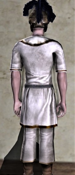 File:Plain Short-sleeved Tunic and Trousers (back).jpg
