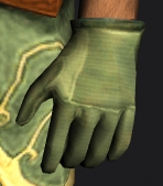 File:Beast-master Gloves.jpg