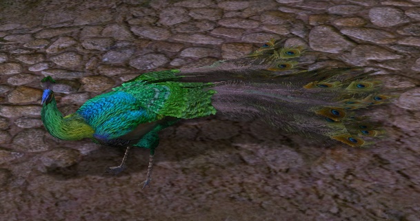 File:Green Peacock.jpg