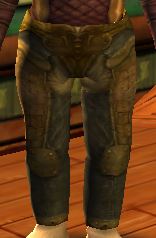 Master-crafted Leather Trousers - Level 30