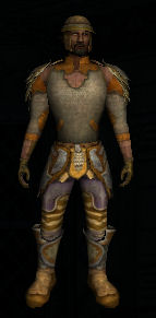 File:Heavy Elven Bronze Outfit.jpg