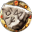 File:Unique Rune of Wisdom-icon.png