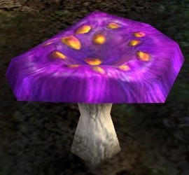 File:Violet Delight Mushroom-front.jpg