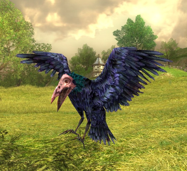 File:Weathered-raven appearance.jpg