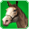 Lithe Festival Steed-icon.png
