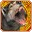 File:Rend Flesh-icon.png