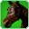 Steed of Night(skill)-icon.png