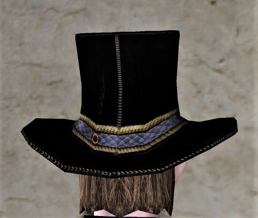 File:Extravagant Festival Hat (back).jpg