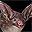 File:Bat.png