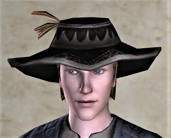 File:Farmer's Fancy Wide-brimmed Hat-front.jpg