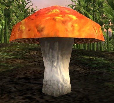 File:Red Spotted Mushroom-front.jpg
