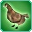 File:Spring Pheasant - Female-icon.png