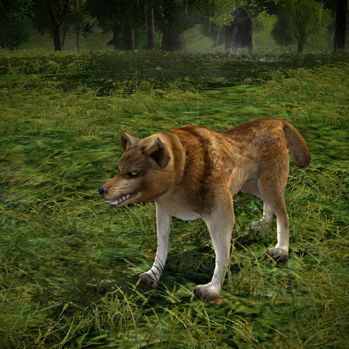 File:Dusk-wolf Tracker.jpg