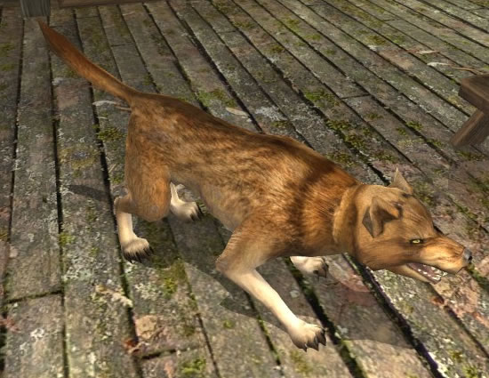 File:Wolfhound (Dwaling).jpg