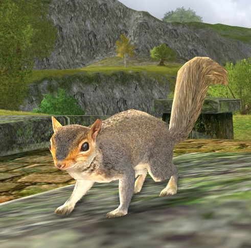 File:Squirrel (Pet).jpg